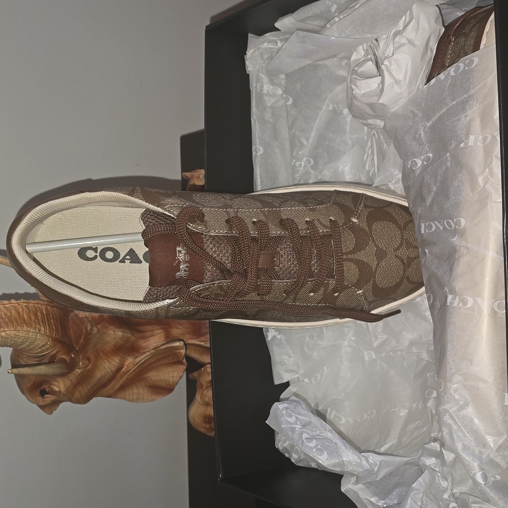 Men Brown Coach Sneakers